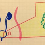 CISTITE POST-COITALE: come prevenirla e ritrovare la serenità?