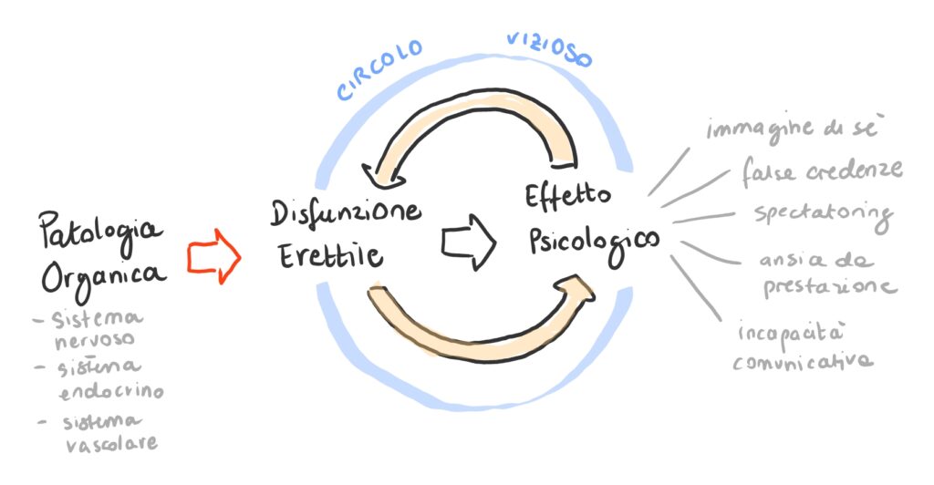 rappresentazione grafica dell'interazione tra patologia organica e psicologia nell'eziologia della disfunzione erettile
